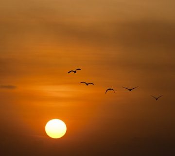 Sunset ge795ec091 640 360x320